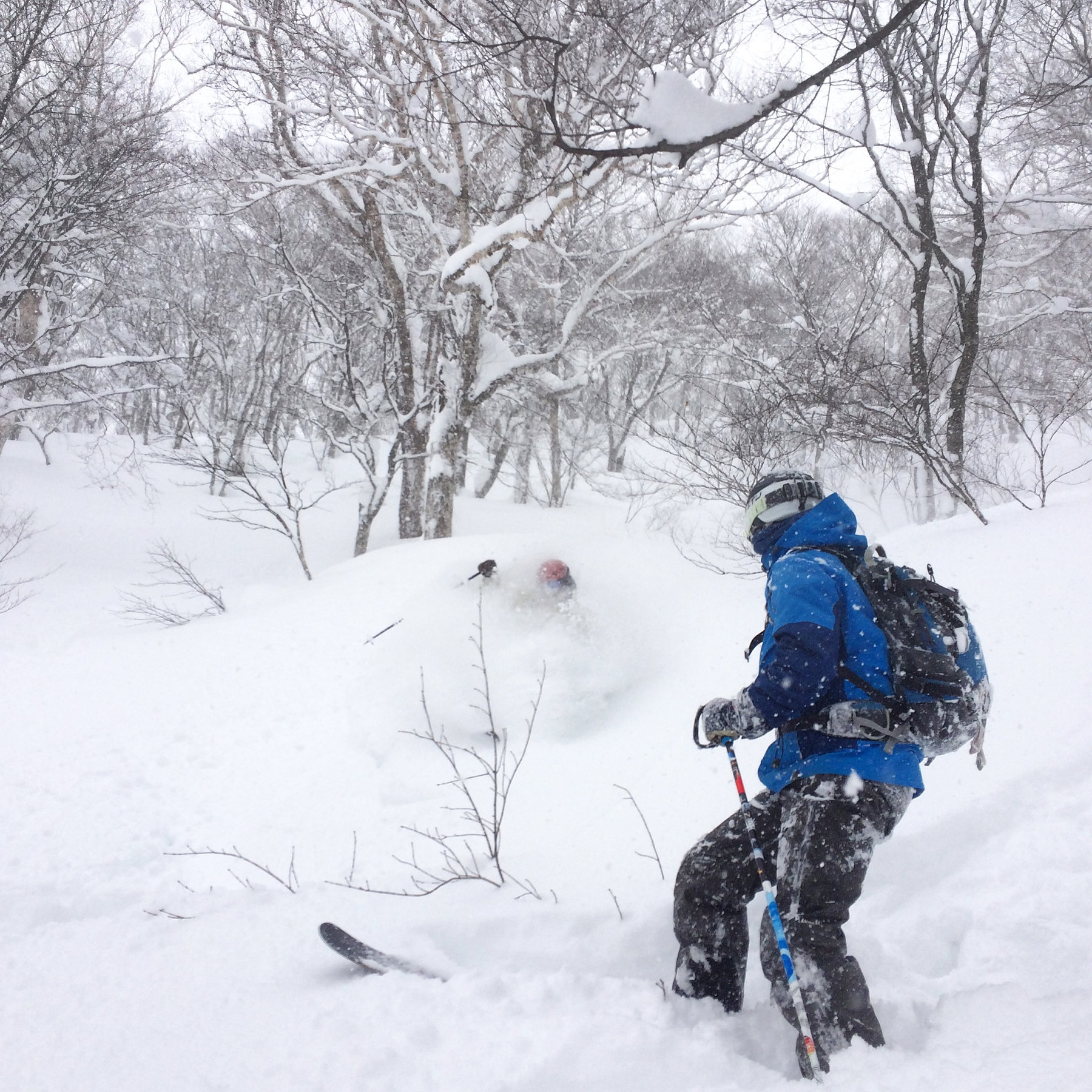 Tohoku ski tour